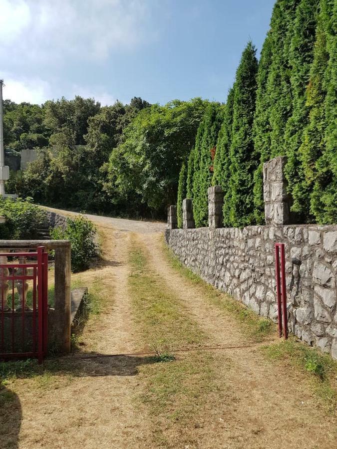 Kuca Pavle Trsteno Budva Buitenkant foto